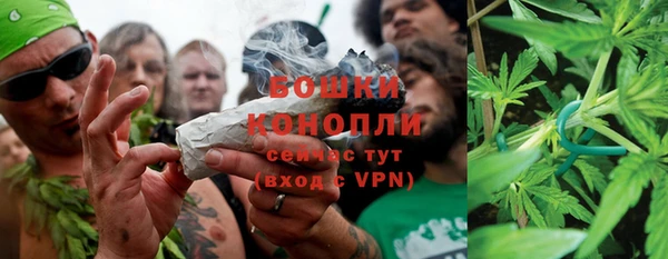 спиды Богородск